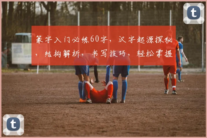 篆字入门必练60字，汉字起源探秘，结构解析，书写技巧，轻松掌握篆书艺术。
