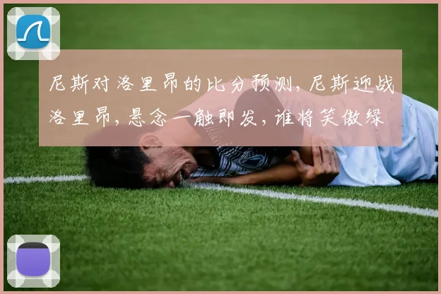 尼斯对洛里昂的比分预测,尼斯迎战洛里昂,悬念一触即发,谁将笑傲绿茵场