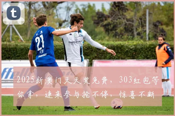 2025新澳门天天奖免费，303红包等你拿，速来参与抢不停，惊喜不断