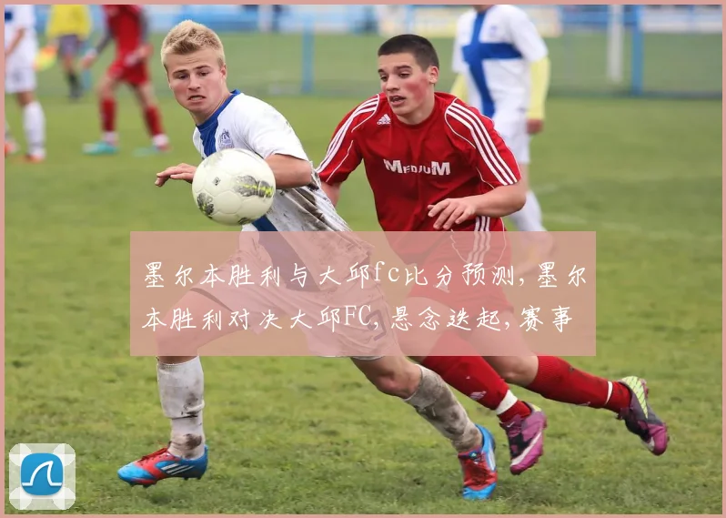 墨尔本胜利与大邱fc比分预测,墨尔本胜利对决大邱FC,悬念迭起,赛事前瞻一触即发